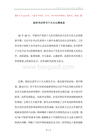 驻村书记学习十九大心得体会.docx