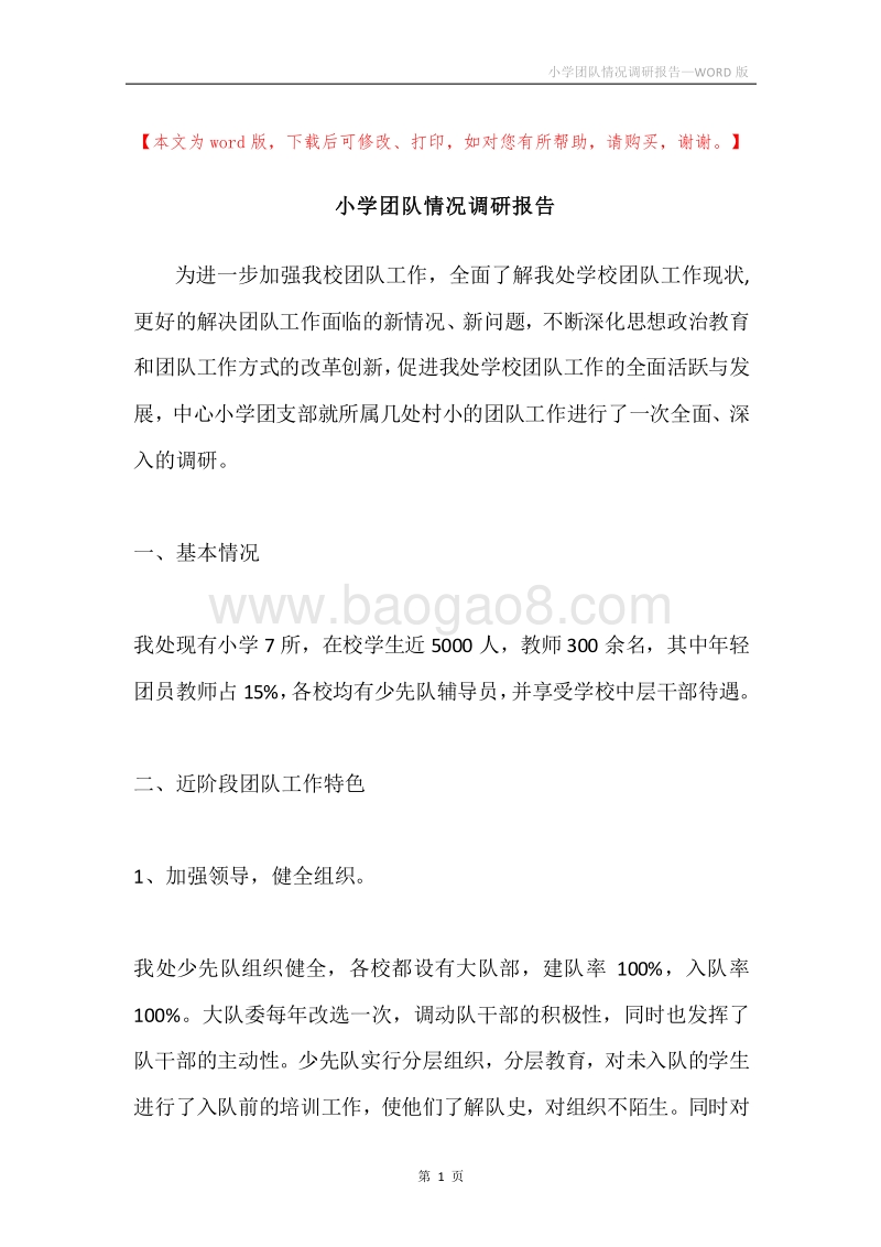小学团队情况调研报告.docx_第1页