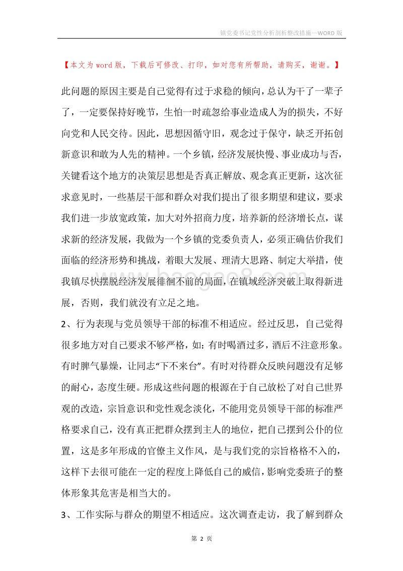 镇党委书记党性分析剖析整改措施.docx_第2页