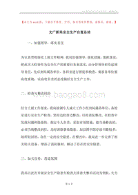文广新局安全生产自查总结.docx