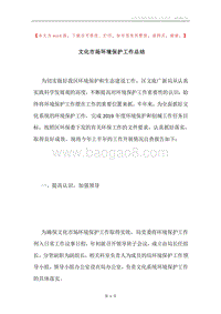文化市场环境保护工作总结.docx