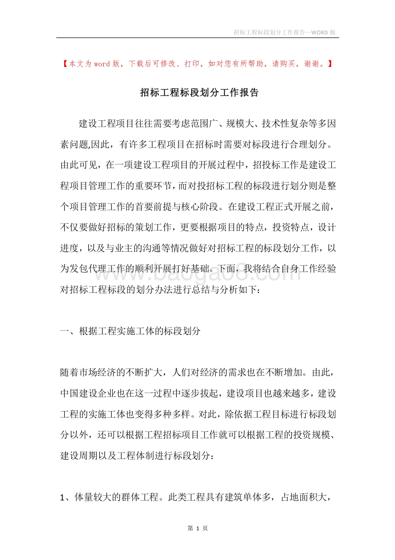 招标工程标段划分工作报告.docx_第1页