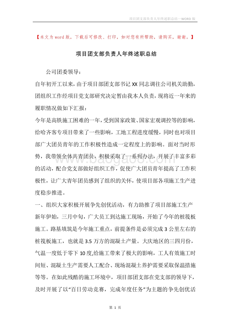 项目团支部负责人年终述职总结.docx_第1页