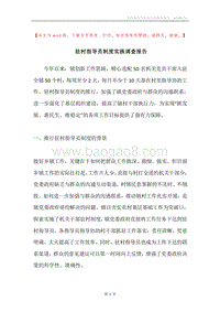 驻村指导员制度实践调查报告.docx