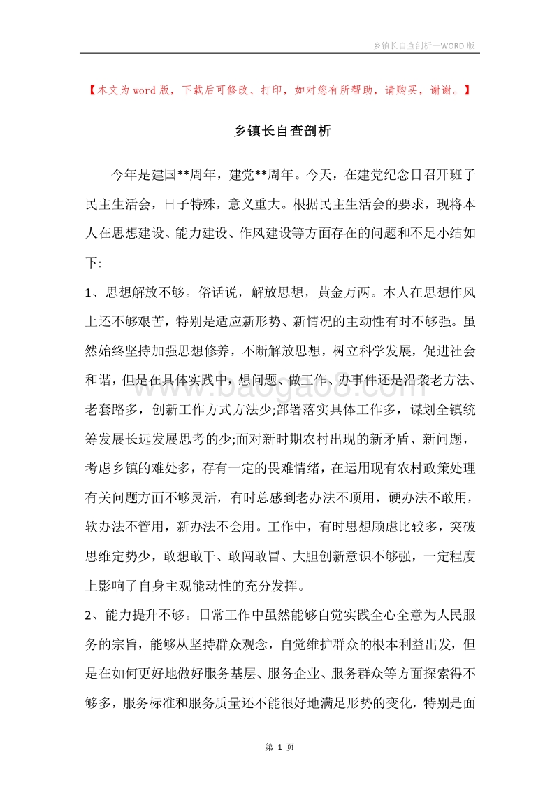 乡镇长自查剖析.docx_第1页