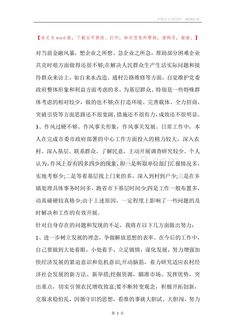 乡镇长自查剖析.docx_第2页
