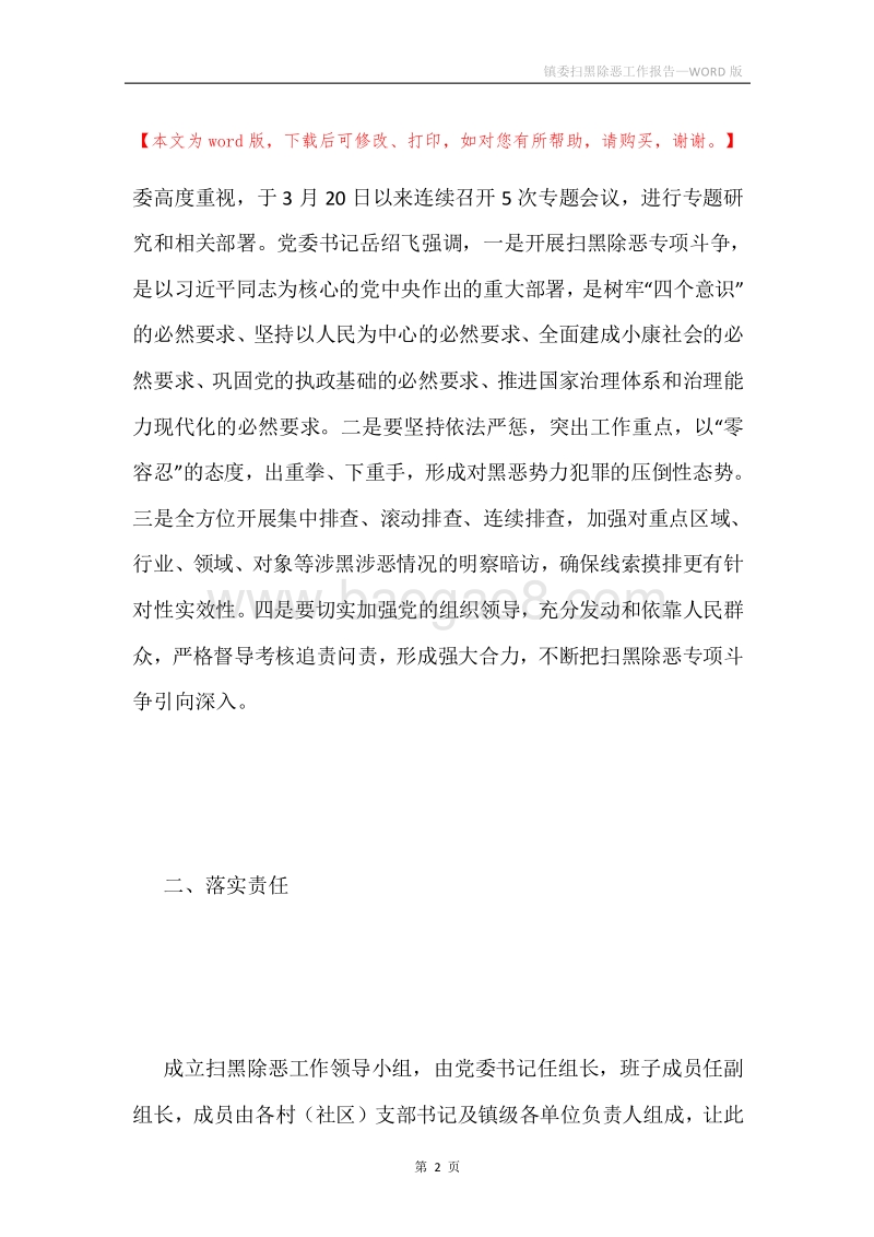 镇委扫黑除恶工作报告.docx_第2页