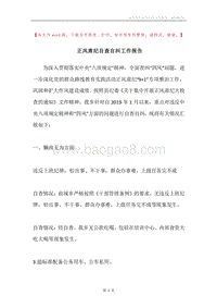 正风肃纪自查自纠工作报告.docx