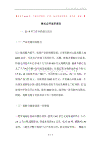 镇长公开述职报告.docx