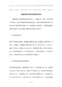 镇团委组织格局创新情况报告.docx