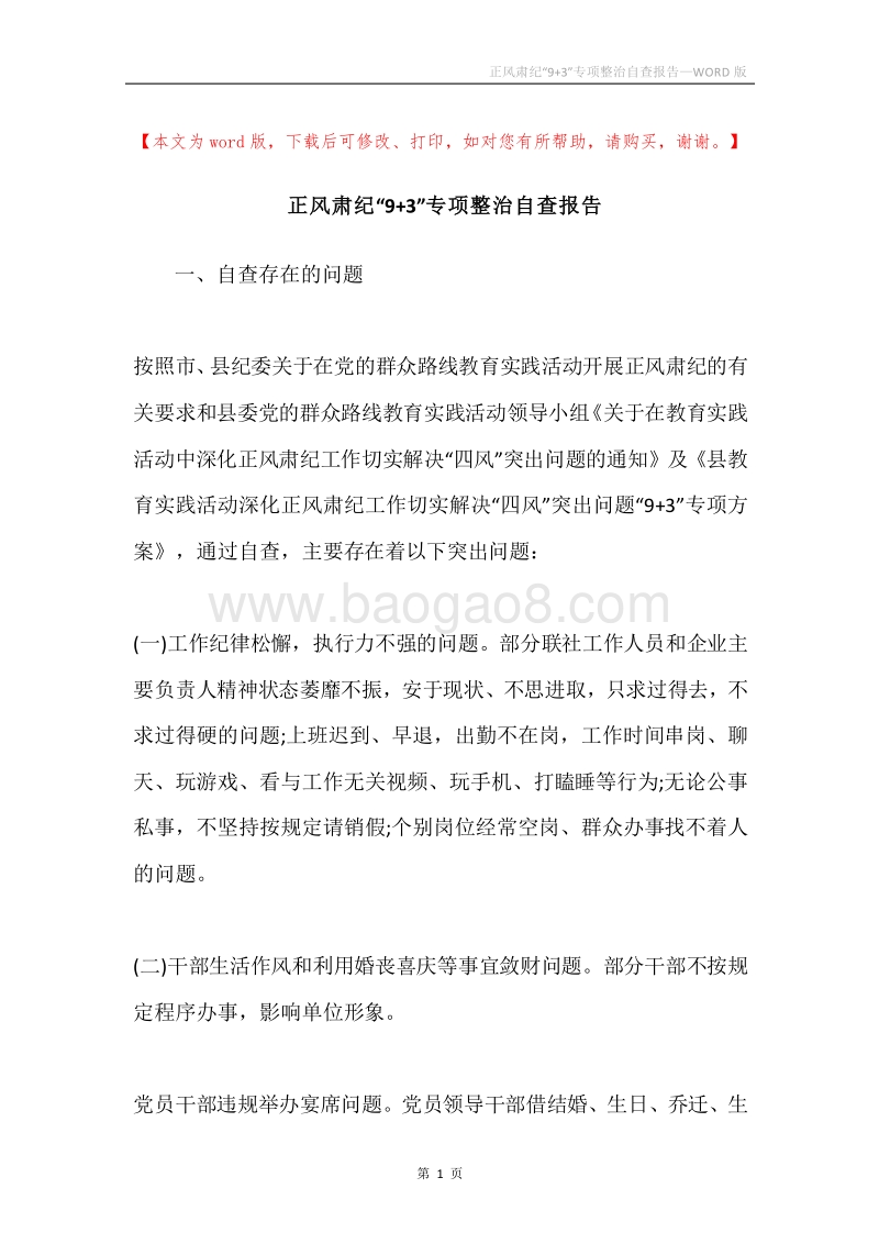 正风肃纪“9+3”专项整治自查报告.docx_第1页