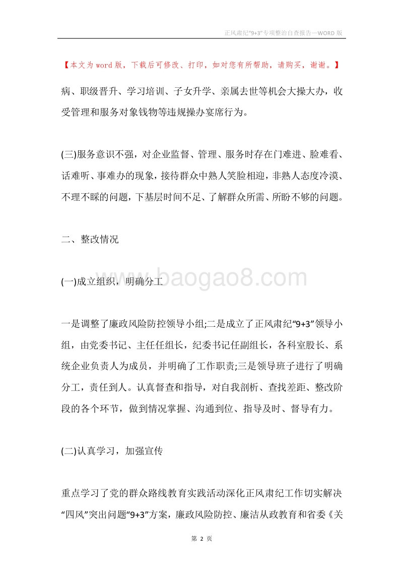 正风肃纪“9+3”专项整治自查报告.docx_第2页