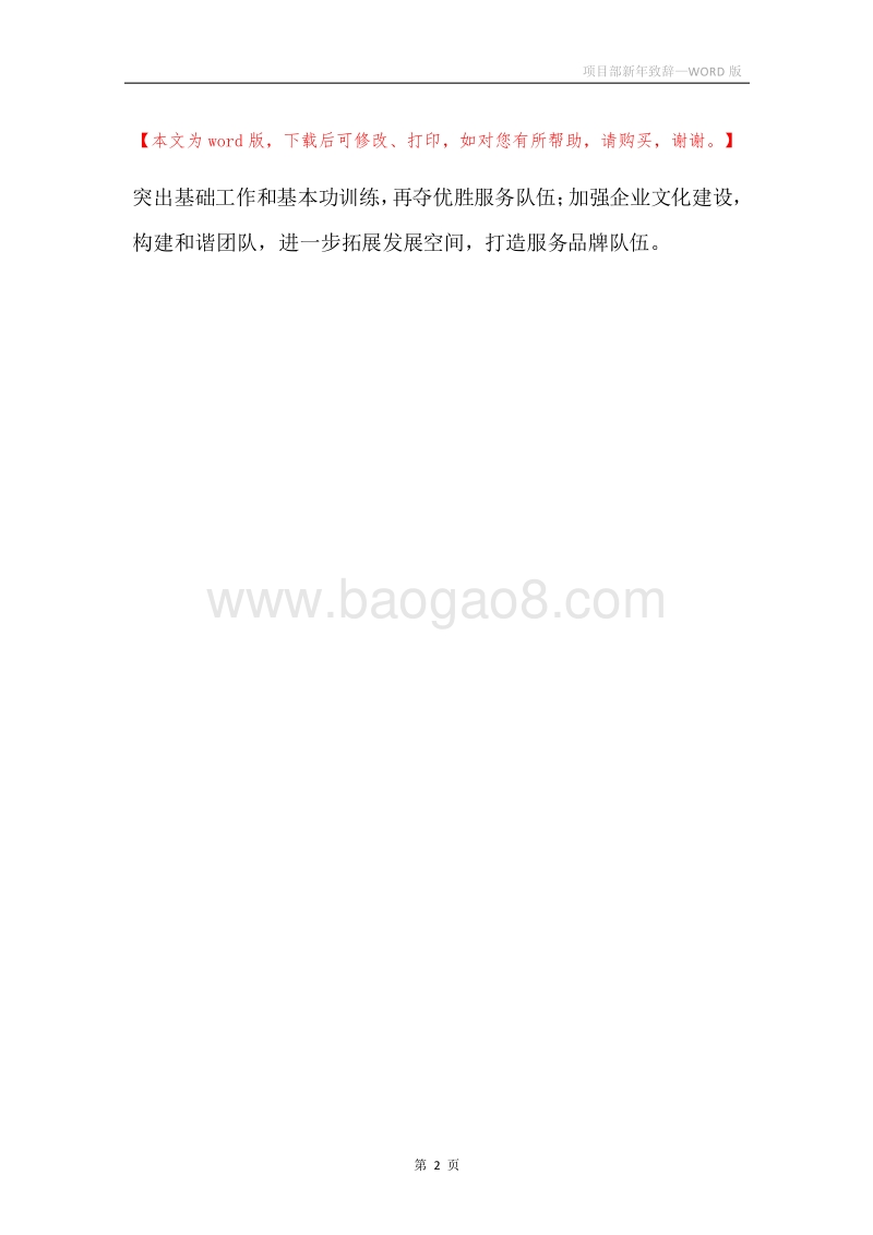 项目部新年致辞.docx_第2页