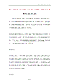 物料仓主任个人总结.docx