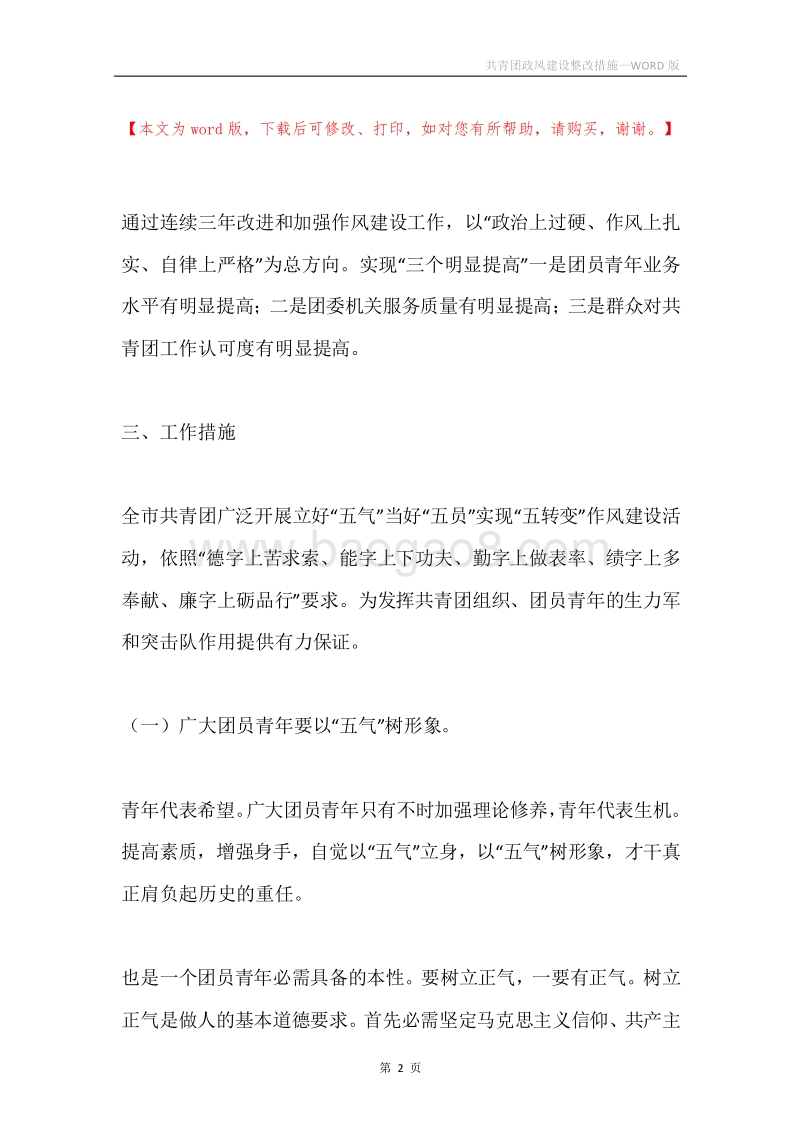 共青团政风建设整改措施.docx_第2页