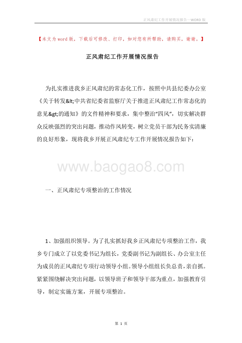 正风肃纪工作开展情况报告.docx_第1页