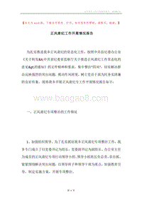 正风肃纪工作开展情况报告.docx