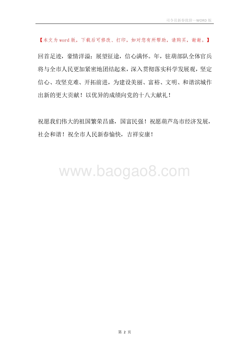司令员新春致辞.docx_第2页