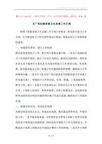 文广局创建省级卫生县城工作汇报.docx