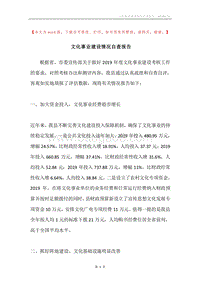文化事业建设情况自查报告.docx