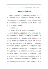 镇依法治理工作述职报告.docx