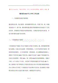 镇妇联2019年上半年工作总结.docx