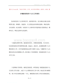 乡镇喜迎党的十九大工作报告.docx