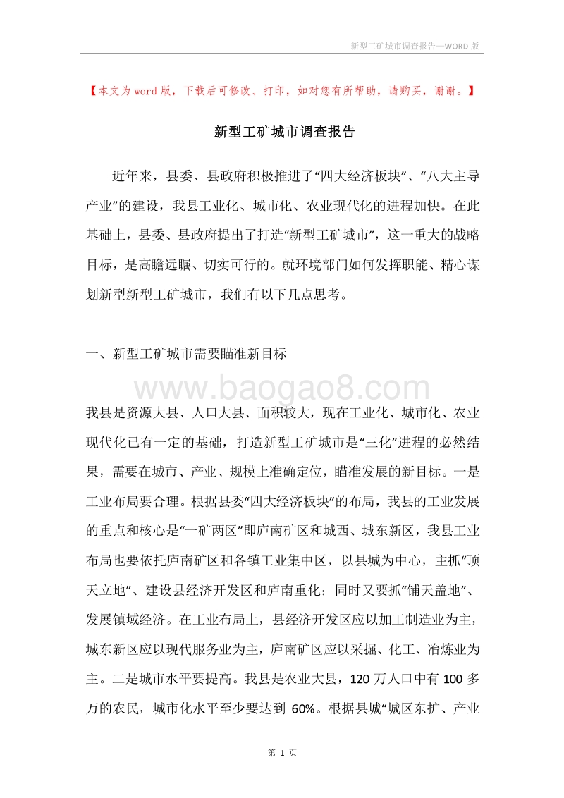新型工矿城市调查报告.docx_第1页