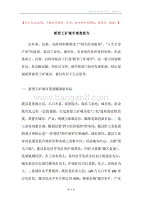 新型工矿城市调查报告.docx