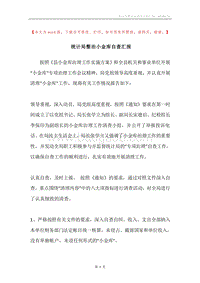 统计局整治小金库自查汇报.docx
