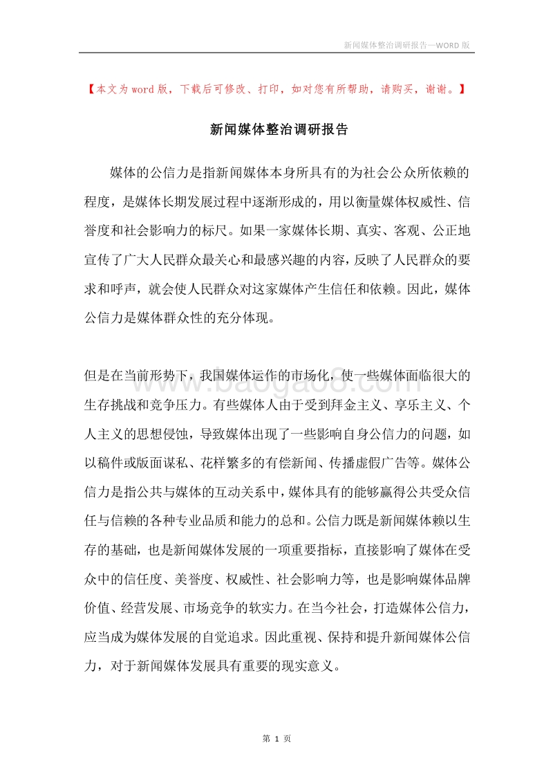 新闻媒体整治调研报告.docx_第1页