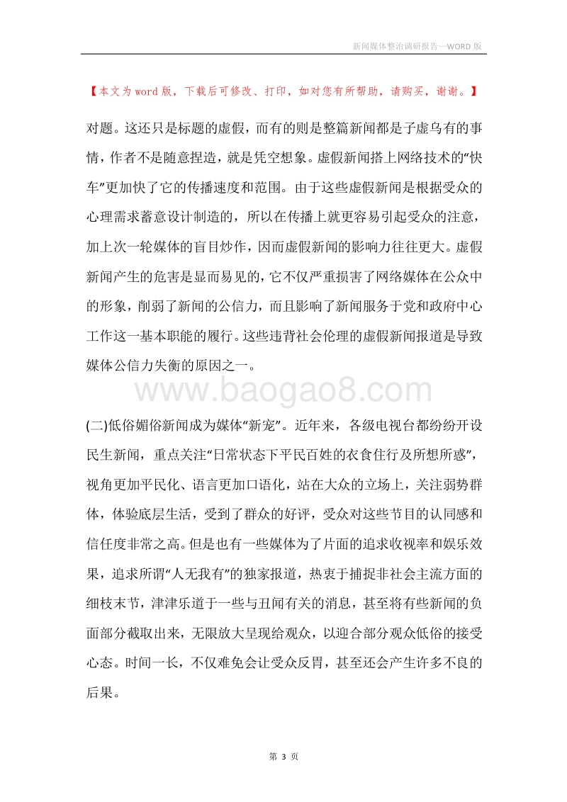 新闻媒体整治调研报告.docx_第3页