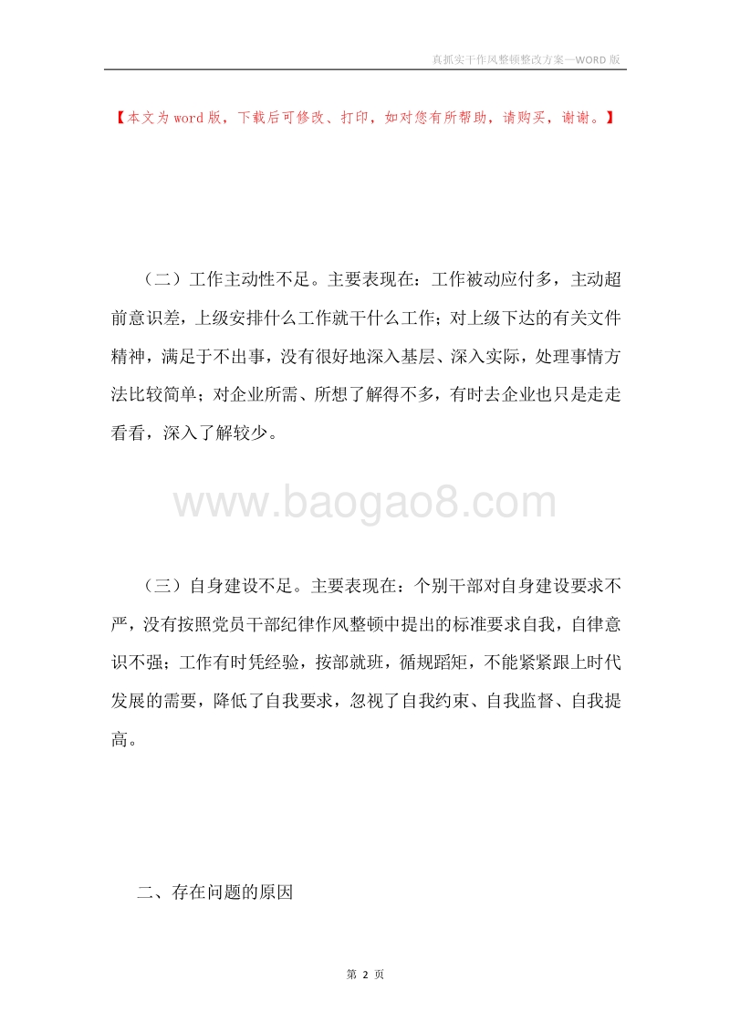 真抓实干作风整顿整改方案.docx_第2页