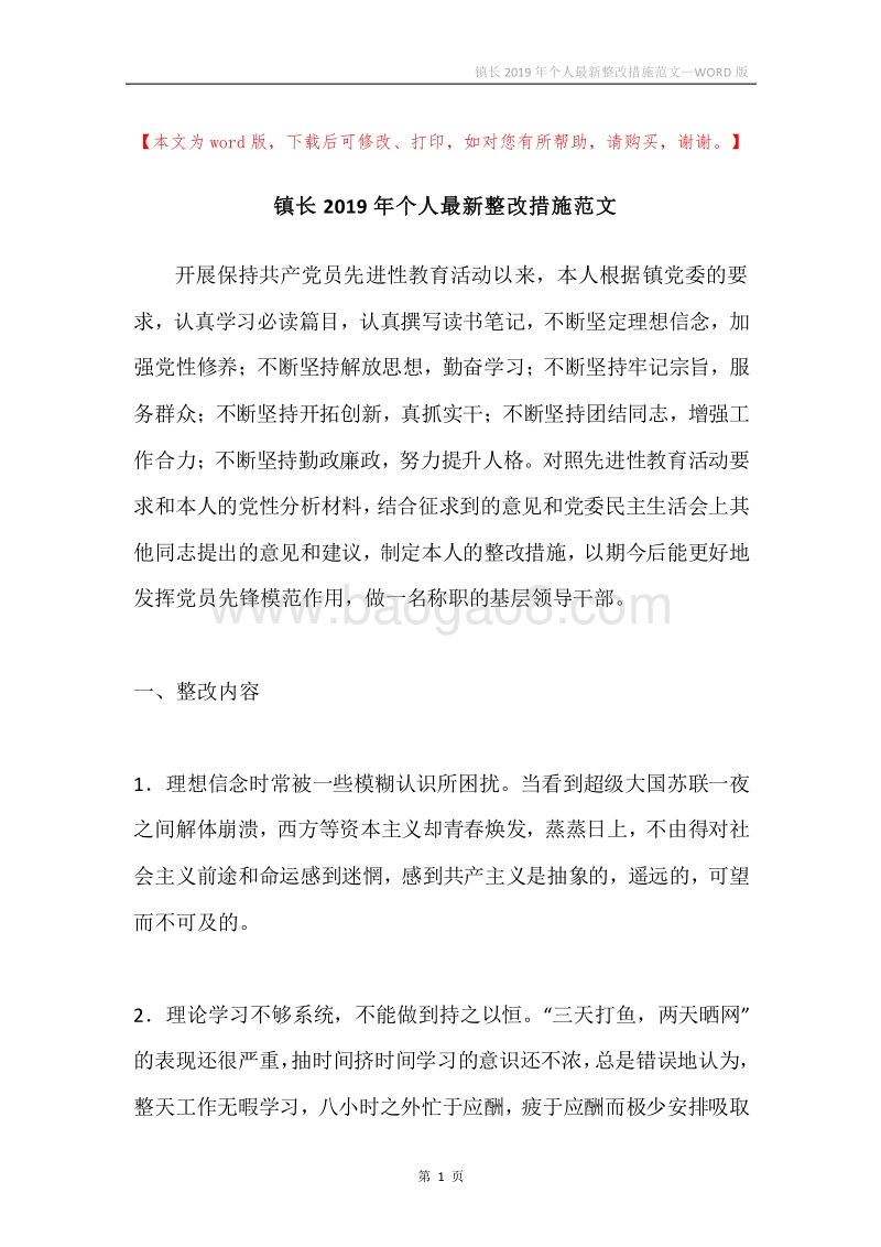 镇长2019年个人最新整改措施范文.docx_第1页