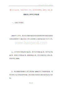 招标办上半年工作总结.docx