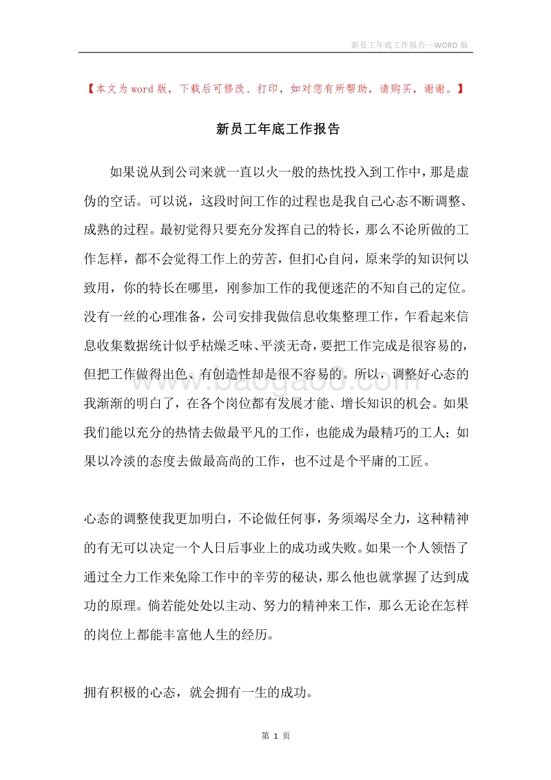 新员工年底工作报告.docx_第1页