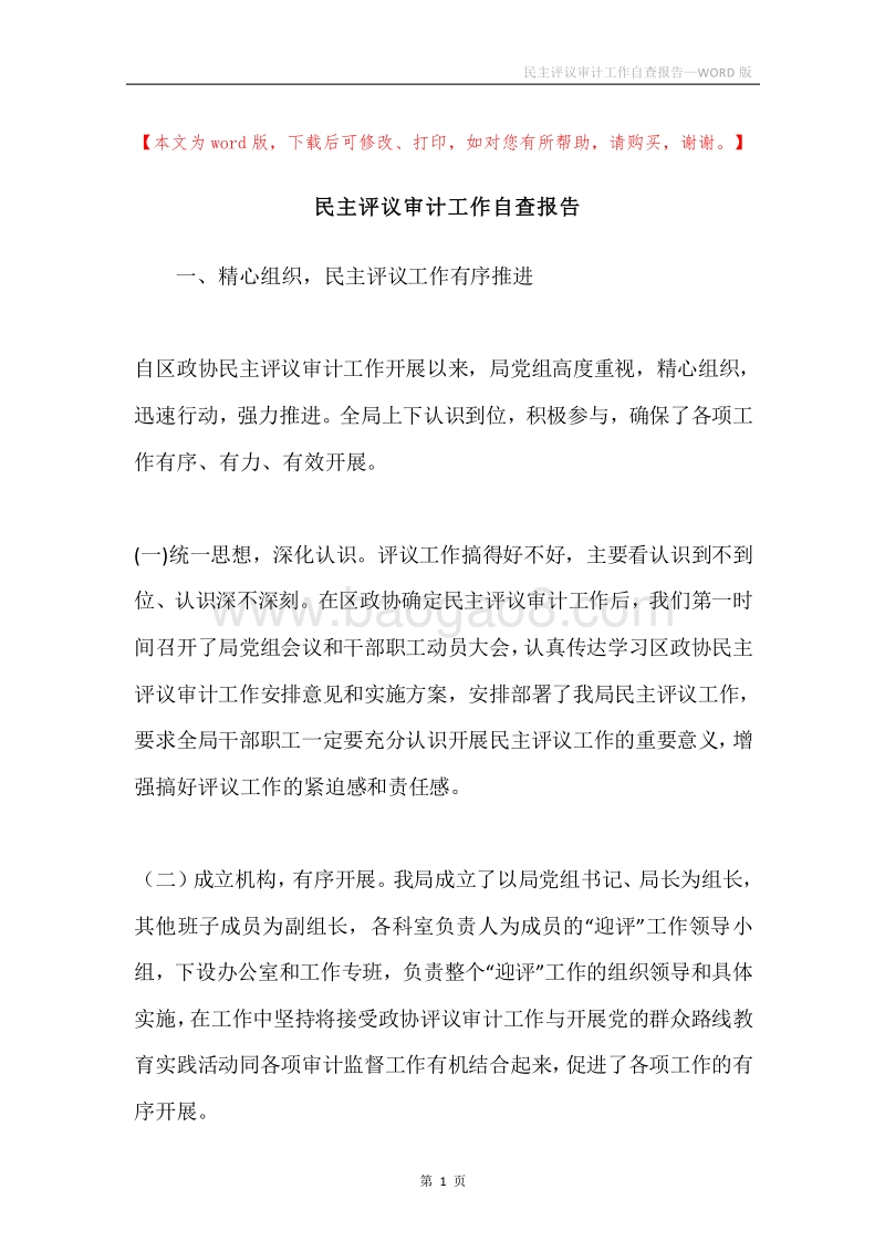 民主评议审计工作自查报告.docx_第1页