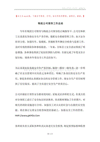 物流公司领导工作总结.docx