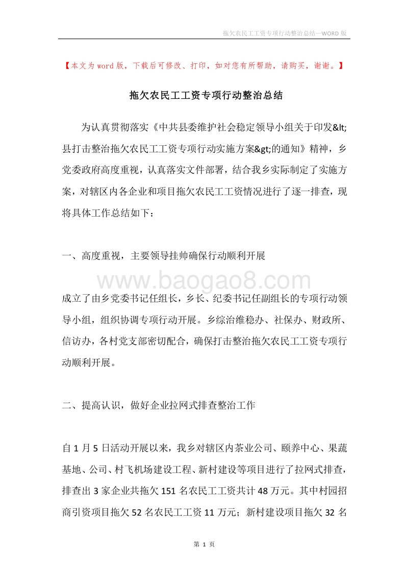 拖欠农民工工资专项行动整治总结.docx_第1页