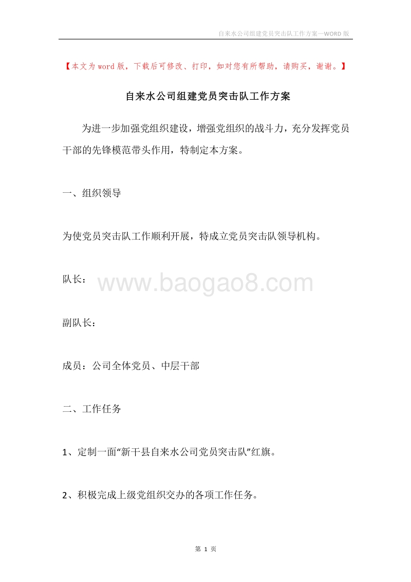 自来水公司组建党员突击队工作方案.docx_第1页