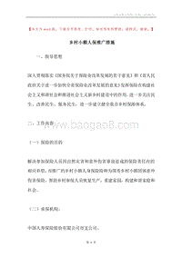 乡村小额人保推广措施.docx