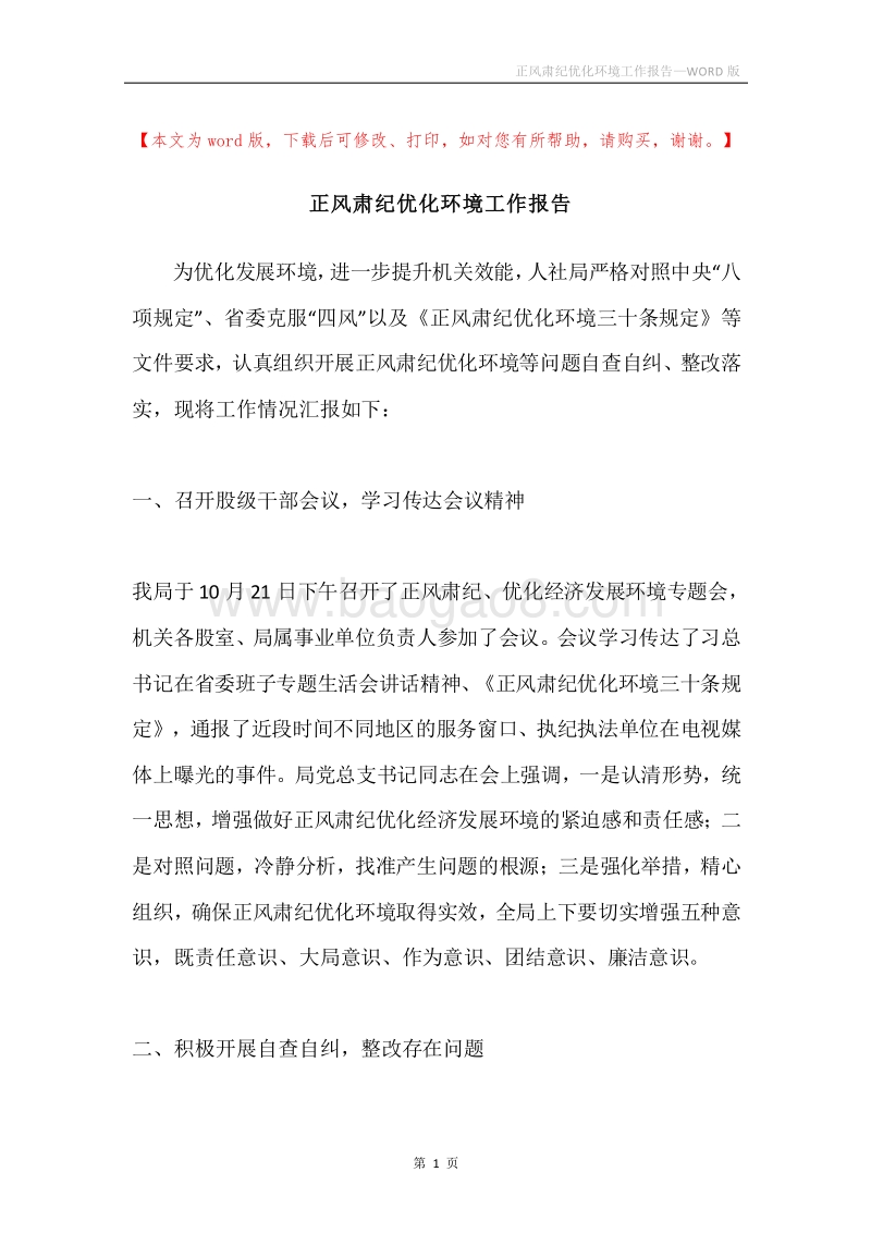 正风肃纪优化环境工作报告.docx_第1页