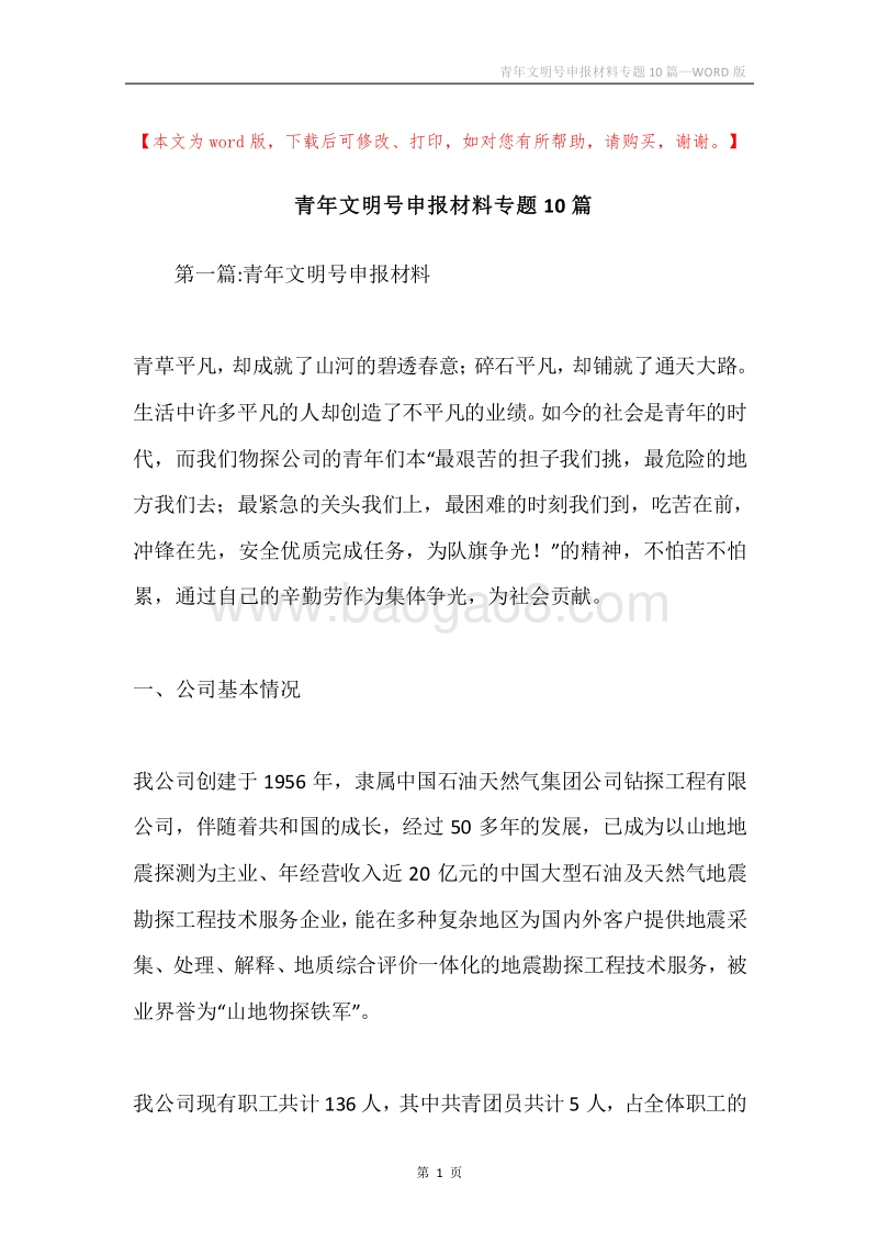 青年文明号申报材料专题10篇.docx_第1页