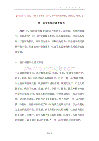 一村一品发展现状调查报告.docx