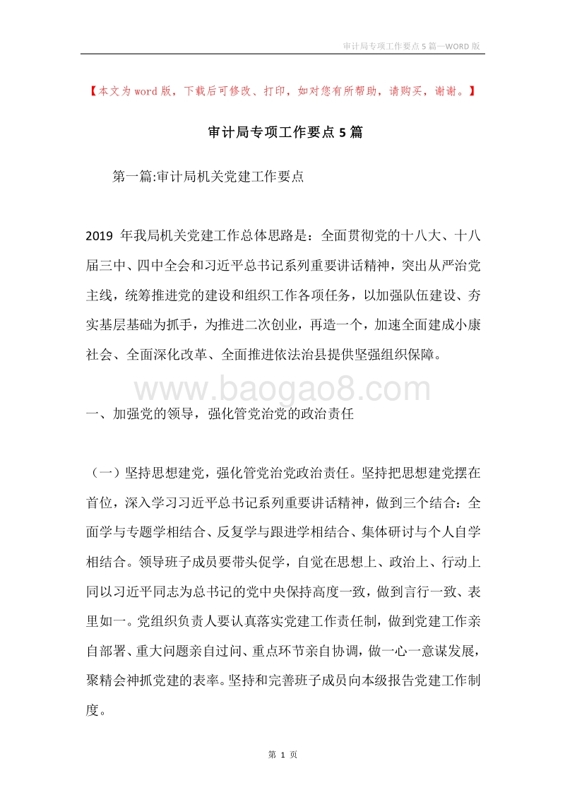审计局专项工作要点5篇.docx_第1页