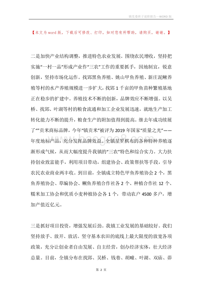 镇党委班子述职报告.docx_第2页