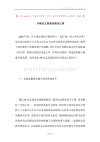 乡镇党支部建设情况汇报.docx