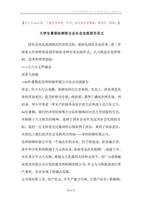 大学生暑期赴钢铁企业社会实践报告范文.docx