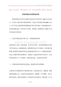 野鸡养殖社典型事迹材料.docx