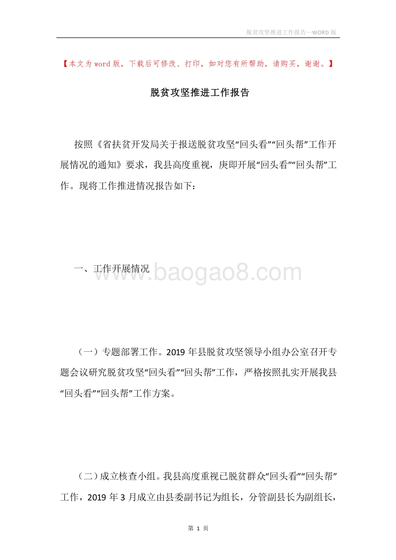 脱贫攻坚推进工作报告.docx_第1页